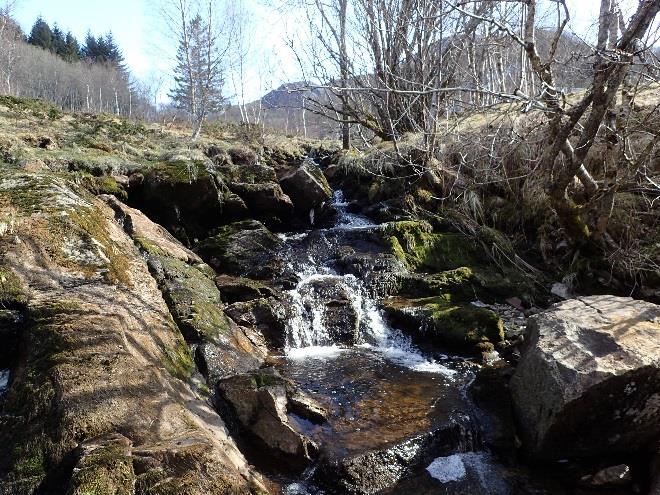 Høyde over havet, m Høyde over havet, m 75 70 65 60 55 50 45 40 35 30 25 20 15 10 5 0 Kongsvik gravplass Skolvatnet 0 500 1000 1500 2000 2500 3000 Avstand fra Osen, m Figur 3.