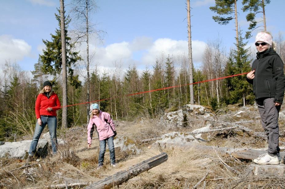 Foto: Bjørnhild Kihle Kontrollere plantefeltet Sjekke suppleringsbehov tidlig Utsatt etablering av ny skog betyr utsatt hogst og mindre m3/daa