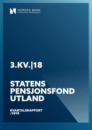 fondets investeringsstrategi og råd til Finansdepartementet Forvalterperspektiv