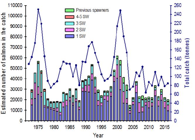 Beregninger av sjøvinteralder Niemelä har gjort beregninger av hvor mye laks av ulik sjøvinteralder som er fanget siden midten av 1970-tallet (Figur 10).