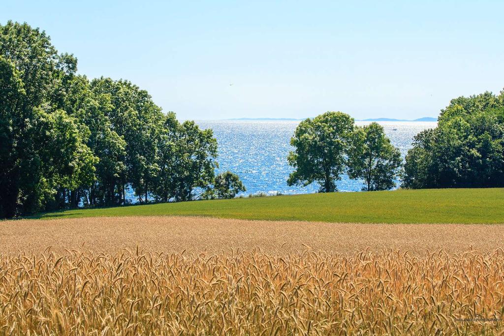 Planer i kommunen om planhierarki og planarbeid.