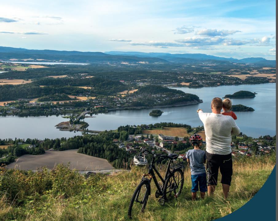 Ringerike, Hole og