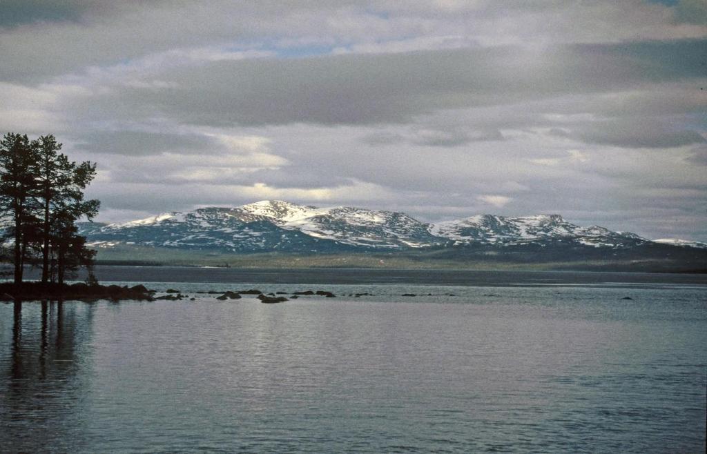 Sandlund 2015). Sammen med hydroakustiske registreringer er det nødvendig å fange et mest mulig representativt utvalg av de artene og størrelsesgruppene av fisk som finnes i det pelagiske habitatet.