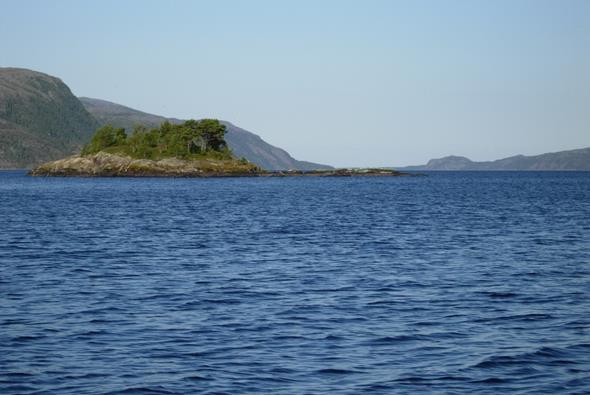 Tabell Sa3. Estimert biomasse av pelagisk aure og røye i Salvatnet. I henhold til WS-FBI og normalisert EQR kan innsjøen klassifiseres med tilstand som økologisk svært god.