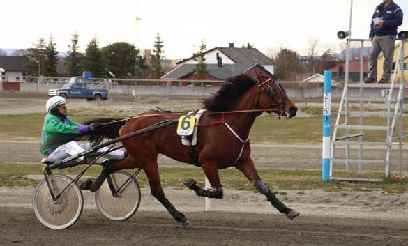 9 10 11 12 2017: 7-0 -0-0 -1-17.5a -3.500 2016: 0-0 -0-0 -0-0 Hillarys Revenge 9 19,2m 17,5am 3.500 3 år Svart HP v. Dream Vacation (US) e. Miss Lewinsky v.