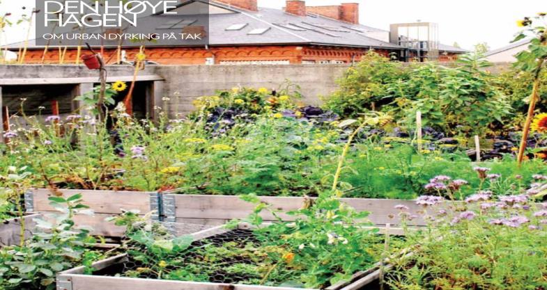 terrasse i bymiljø, urban matdyrkning, ønsket vekt 500 600 kg pr m3 Fokus på gjenbruk