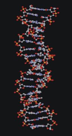 Søk i register DNA-spor av type T funnet.