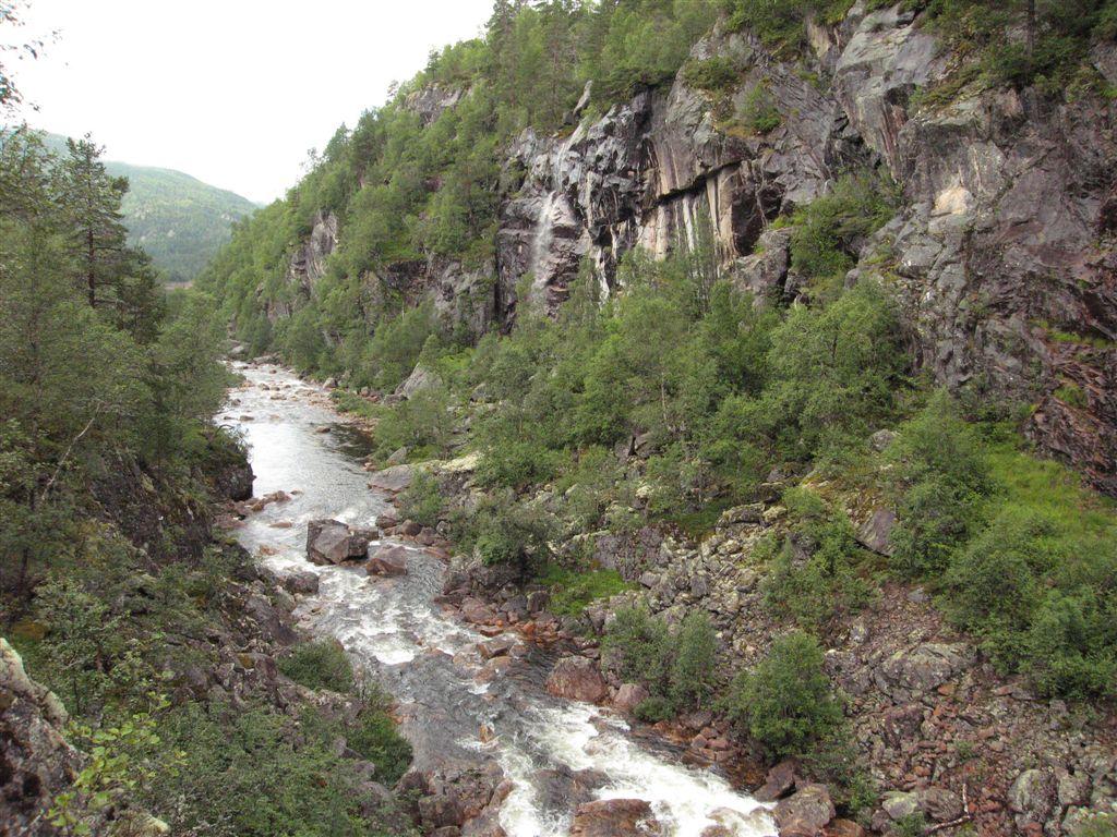 Bilder fra området Lauvtjørndalen