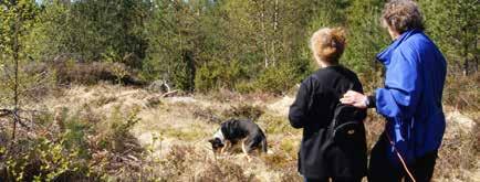 Denne treningen er for deg som tenker på å gå konkurranse eller går konkurranse nå. Vi ser helst at du har minimum grunnkurs eller litt erfaring/ kjennskap til lydighet.