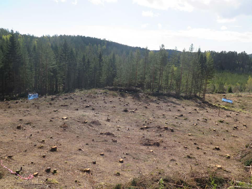 187 Figur 2.2.5.2: Oversiktsfoto av Kvastad A1 etter avskoging. Nordre del nærmest, søndre del i hellingen til høyre på bildet. Bilde tatt mot sørøst. Foto: A. Solberg / KHM. Figure 2.2.5.2: Overview of Kvastad A1 after the deforestation, facing southeast.