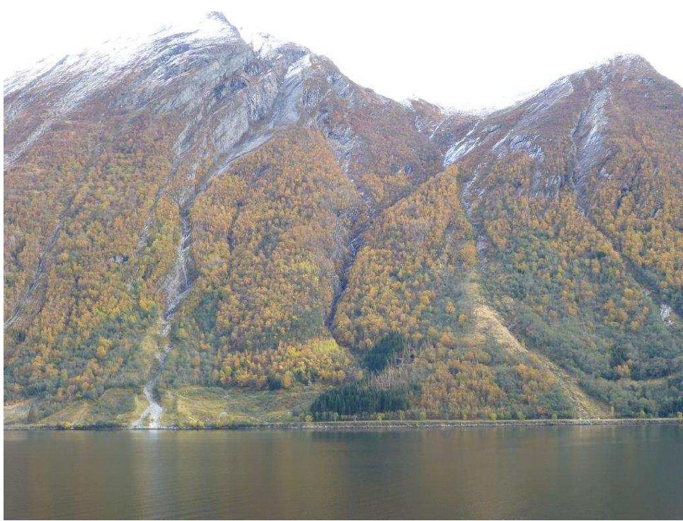 Side 18 fjorddeler er løsmassedekket likevel tykt nok til at vegetasjonen gir fjordløpene et betydelig frodig preg.