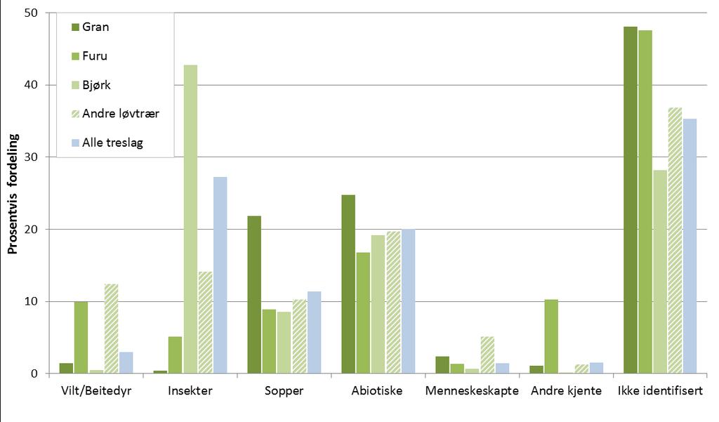 Skadeårsaker Av de skadde grantrærne var 25 % skadet av abiotiske faktorer med snø og vind som de viktigste årsakene, 22 % av sopper (nesten bare granrustsopp) og mindre enn 1 % av insekter (Figur 9).