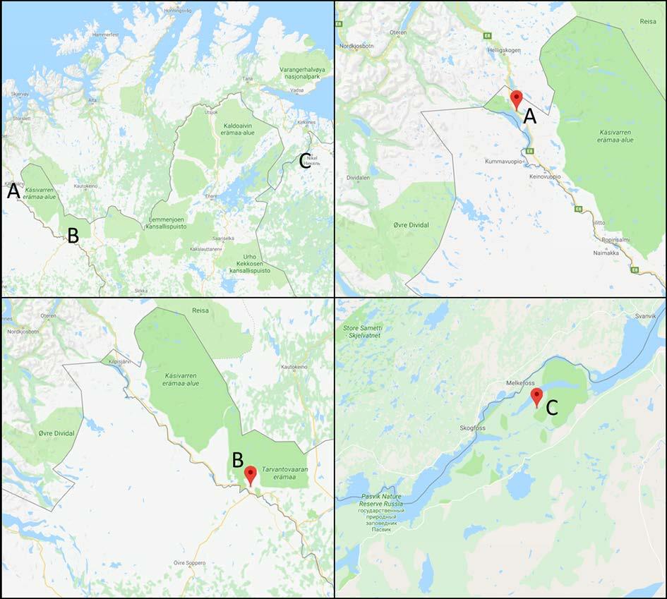 Figur 29. Funn av Ips amitinus nær grensen til Norge i de siste årene. A og B markerer funn fra 2005 på finsk side i Enontekis kommune.