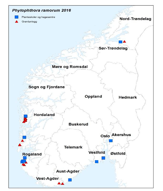 Tabell 11. Vertsplanter i Norge hvor P. ramorum har vært påvist. De fleste påvisningene ble gjort på rododendron.