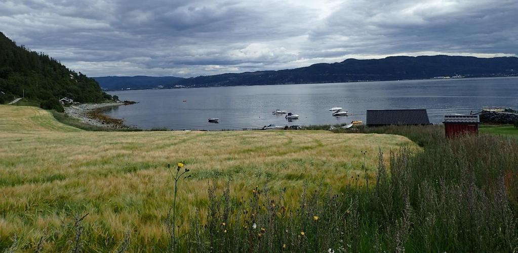 Stjørdalsfjorden er ein del av Trondheimsfjordssystemet, og er bunde saman med Strindfjorden i vest og Åsenfjorden i nord. VELVANG STRINDFJORDEN STJØRDALSFJORDEN STJØRDAL VÆRNES TRONDHEIM Figur 6.