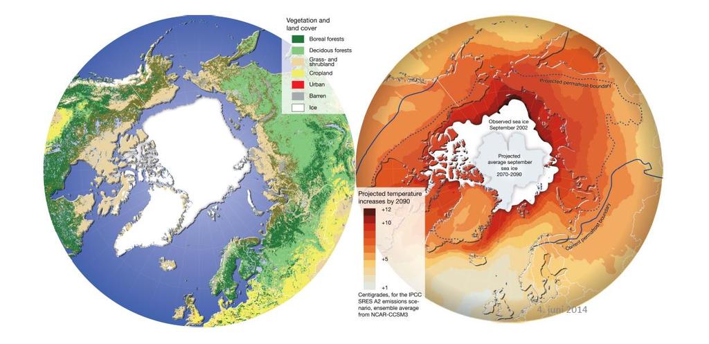 Klimaendringer svekker biomasseproduksjon i