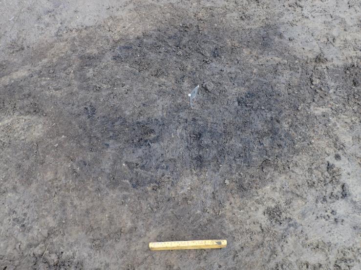 F3 Nedgravning/ Mulig kokegrop Mål: 77 x 105 cm Oval nedgravning som er tydelig avgrenset av heterogen, kompakte fyllmasser med mørkebrun, sandholdig silt, som er finere enn