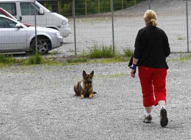 Bruksgruppens planer for høsten 2012 SOSIAL AKTIVITETSKVELD på Myrbø Dyresenter (Neset 60 - Espeland) Vi starter opp igjen sosial aktivitetskvelden i slutten av august kl 19:00-20:30.