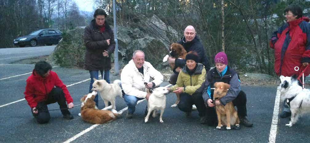 Fra vårens grunnkurs i lydighet Av Sølvi Anette Eltvik Vi var 6 hunder med forventningsfulle eiere som deltok på Grunnkurset i vår.