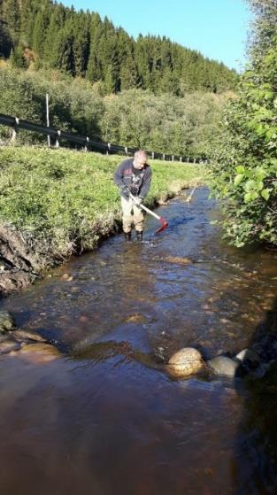 steder. Dette gav resultater med en gang! Områder som før var steinharde, gikk det nå an å grav i med spade og plutselig hadde vi fin gytegrus.