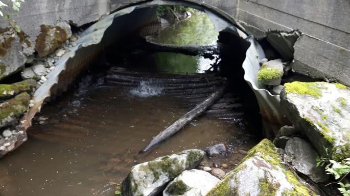 Bekken hadde også en dårlig kulvert (Bilde 14, t.v), hvor bunnen hadde hevet seg og fremsto som et vandringshinder for fisk.