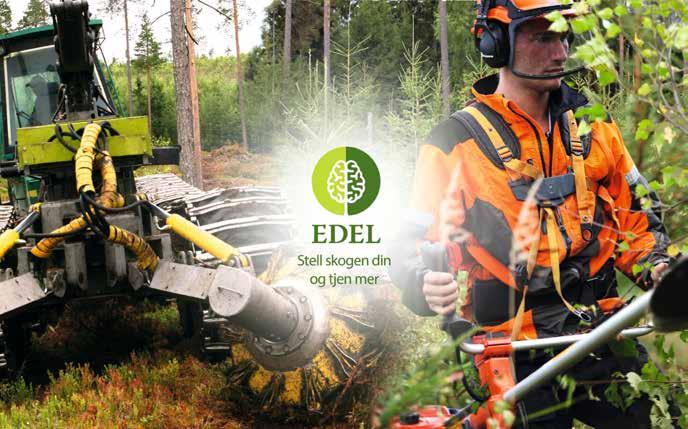 6 MjøsNytt 7 EDEL Med EDEL inn i barmarksesongen EDEL er et skogbehandlingsprogram som tar utgangspunkt i den nyeste forskningen for å optimalisere produksjonen i skogen din.