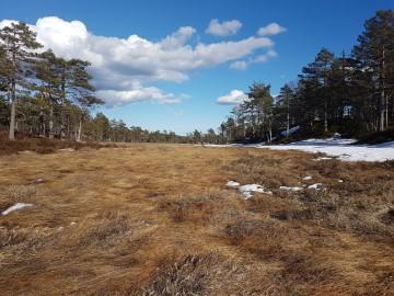 Kristiansand. Han er både komponist og sangsolist. Felleskoret skal fremføre «Himmellengsel», et verk som Stanghelle har skrevet.