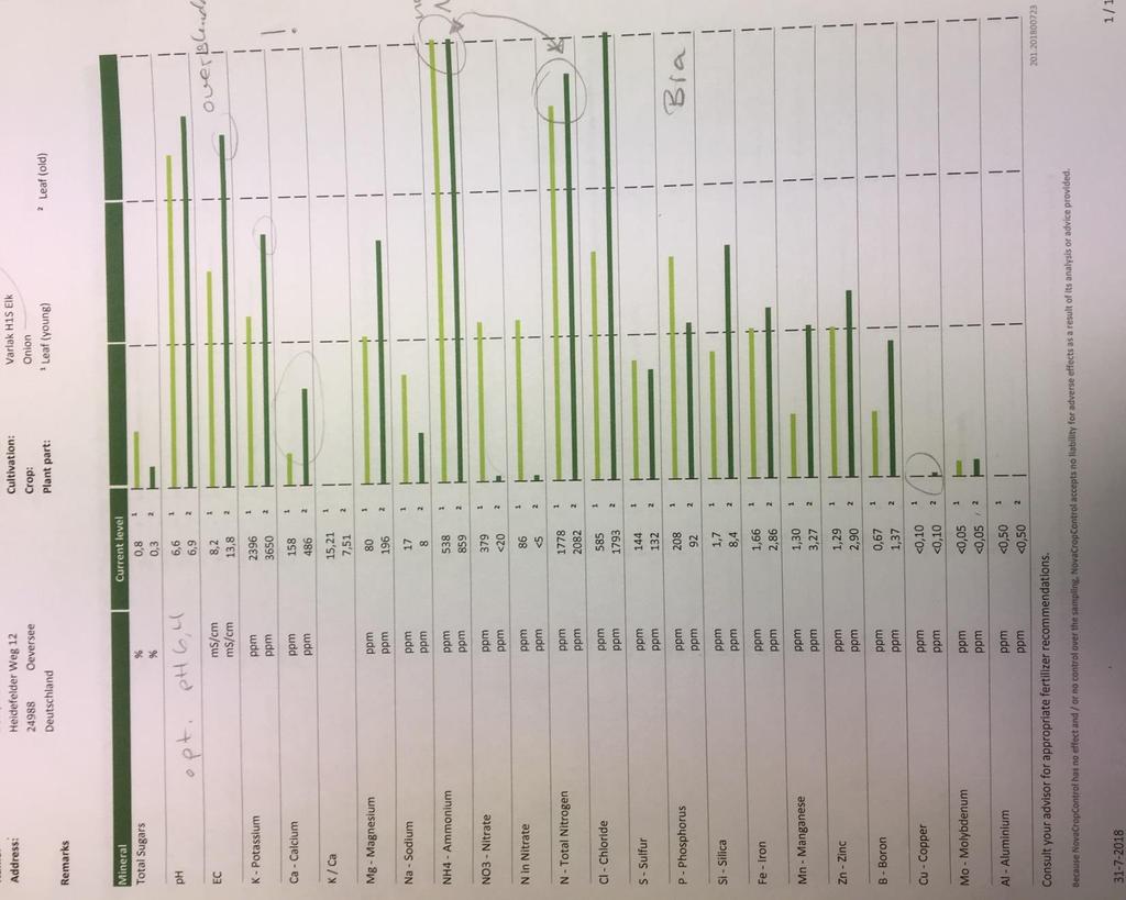 Plantesaftanalyser Sammenligning mellom ungt og gml.