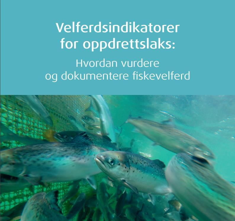 FISHWELL Velferdsindikator for oppdrettslaks Håndbok for å tilby tilpassede verktøy for å evaluere og dokumentere velferd hos atlantisk laks.