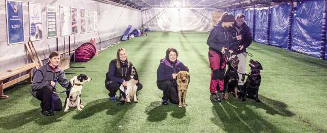 Kjekt har det vært å se hvor flinke hund og førere er blitt. RESULTATER CUP I FELTSØK SAMMENLAGT 2016 BRONSEMERKEPRØVEN I JANUAR BSBK arrangerte bronsemerkeprøve 10.