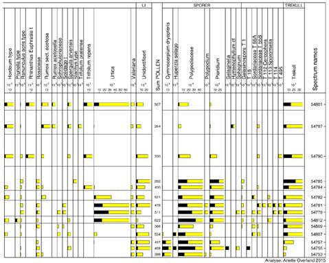 Sorte histogram viser