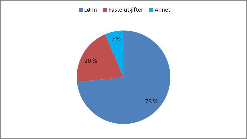 Skjematisk fremstilt: Fordeling av kostnader delt etter grupper: Trosopplæring er øremerket midler fra stat og menighetsråd Aktiviteter er midler øremerket oppgaver via oppsparte midler eller ekstra