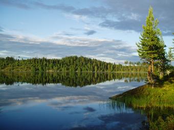 3.13 Ottsjøen Fig.37. Ottsjøen badet i fantastisk kveldsol i juni 2007. Ottsjøen er delt mellom Stange, Eidsvoll og Nord-Odal kommuner og er den tredje grensesjøen.