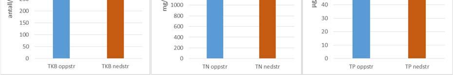 dette nivået lå relativt lavt i denne perioden i forhold til tidligere.