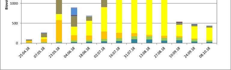 I Vanemfjorden var den gjennomsnittlige konsentrasjonen av klorofyll a i vekstperioden mai oktober var 10,7 µg/l, mens gjennomsnittlig verdier for totalt volum var 1,74 mm 3 /l.