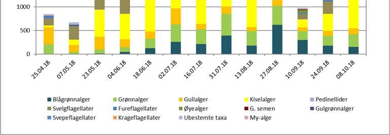 Det var forholdsvis lave konsentrasjoner av cyanobakterier, høyeste totale volum var 0,61 mm 3 /l som indikerte god tilstand.