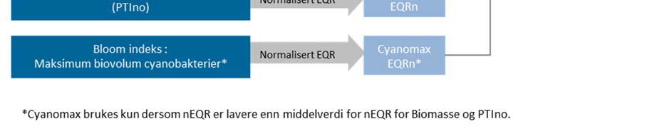 Indeksen for Cyanomax benyttes kun hvis denne EQRn er lavere enn gjennomsnittet av de andre indeksene (Fra Veileder 02:2018, Direktoratsgruppa 2018).