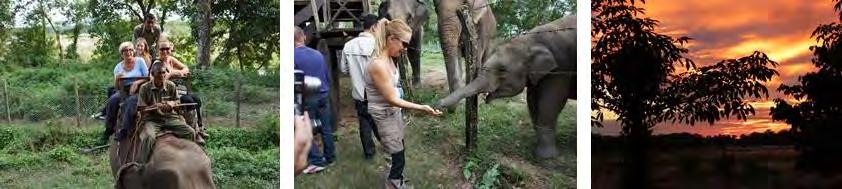 De store hannelefantene er svært farlige og de slapp da en av hunnene slik at han kunne ta henne med seg inn i jungelen for å parre seg. Når akten var over kom hun tilbake.
