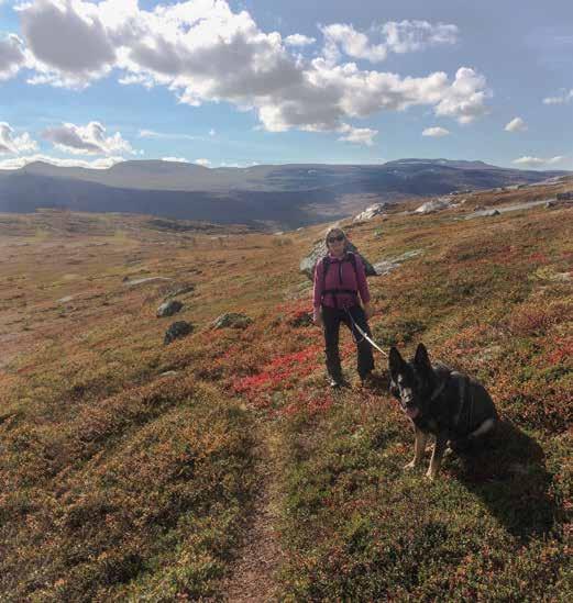 AKTIVITETER VINTER / VÅR 2017 BSBK BRUKSHUNDGRUPPEN AKTIVITET NÅR HVOR Innendørs lydighetstrening lørdag 7.januar 12-16 Fjellangerhallen (med forbehold) Bronsemerkeprøve tirsdag 10.