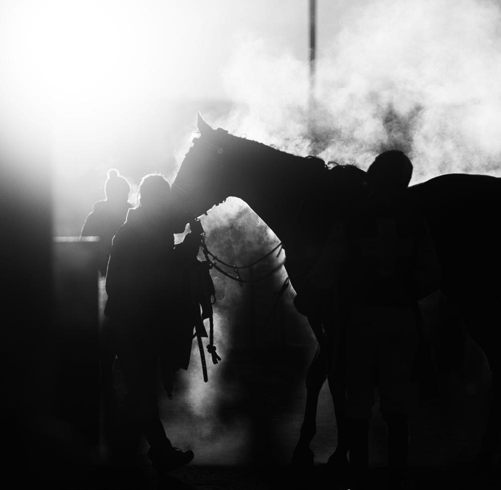 Det høres jo vel og bra ut med fine verdier. Men hvordan skal jeg bruke dem i hverdagen? Lidenskap. Takhøyde. Full galopp. Bare fire ord. Men fire viktige ord.