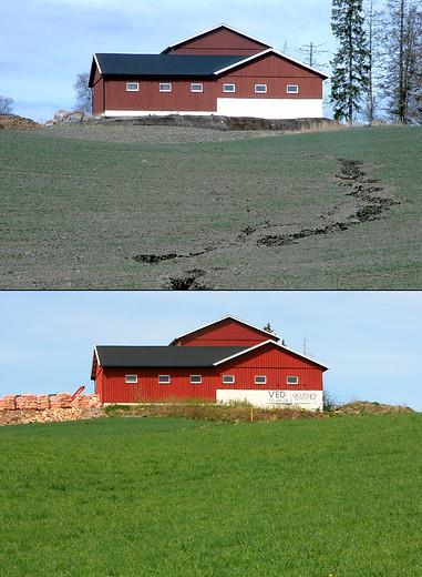 TILTAK UNDER «AVRENNING» Før: Andre grasdekte arealer - tilsåing med gras, for eksempel på spesielt erosjonsutsatte eller flomutsatte arealer.