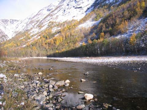 6 Fra Sætra til Litlevatnet 1. Noe nedstrøms Sætra øker vannføringa i overflaten merkbart. Bildet er tatt mot Stakkengfonna naturreservat. 2.