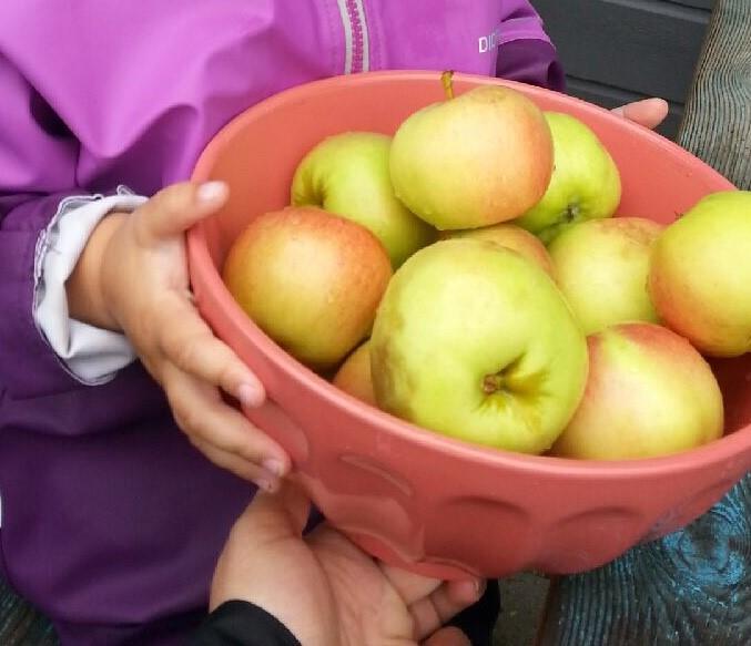 Det er særlig et godt samspill og gode samtaler som er knyttet til de pedagogiske prinsippene i et godt måltid.