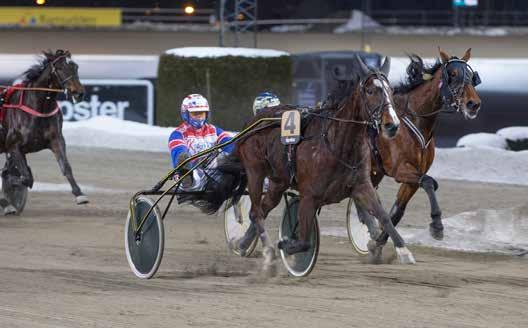 GRATIS INNGANG Banekode: 01 Varmingsinfo fra Ole onny Solberg BERKEBANEN Nr 9/019 Kr 5 In Håleryd/Per Oleg Midtfjeld. Foto: hesteguiden.