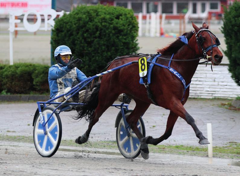 stk&seler,rekl Tom Erga (T) - Kristin Stokkedal Ø. Hegdal 7/-08/ 600 0 6,4a 8 535 Ø. Hegdal 8/-03/4 040 0 6,9a 6 8 Ø. Hegdal 5/0-05/ 080 0 5,9 6 803 Ø. Hegdal /0-0/5 600 3 4,a 8 59 T.