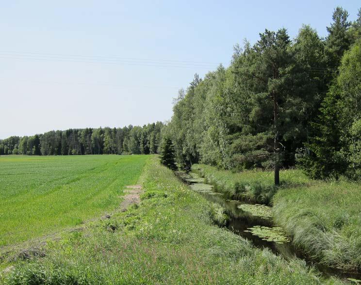 1.1 Børta Børta er et lite nedbørfelt (8 km 2 ) (figur 2) og vannprøvene i overvåkingsprogrammet er tatt oppstrøms jordbruksarealene. Grøfteprøvene er derimot tatt noe lengre nede.