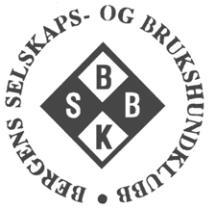 bsbk.org BSBKs hjemmesider på internet BSBK har hatt egne hjemmesider på internett siden høsten 1998. Disse er jevnlig vedlikeholdt av webmaster Edgar Waag.