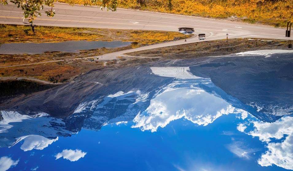 Icefield Parkway - Togreise gjennom Rocky Mountains glass, som strekker seg 30 m utover Sunwapta Canyon. Dette blir nok et syn som er verdt å forevige!