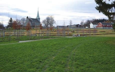 Figur 5. God etablering av grøntanlegg på nytt gravfelt på Havstein.