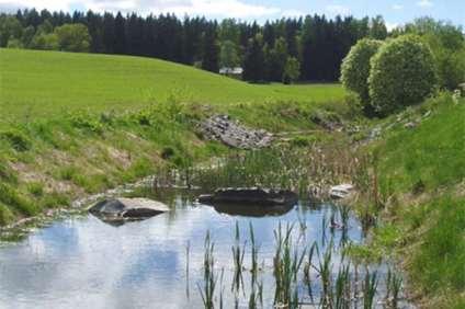 19 Fangdam Det kan gis tilskudd for fangdam som er etablert på eller i tilknytning til